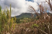St Kitts