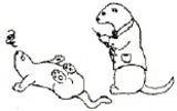 user portrait